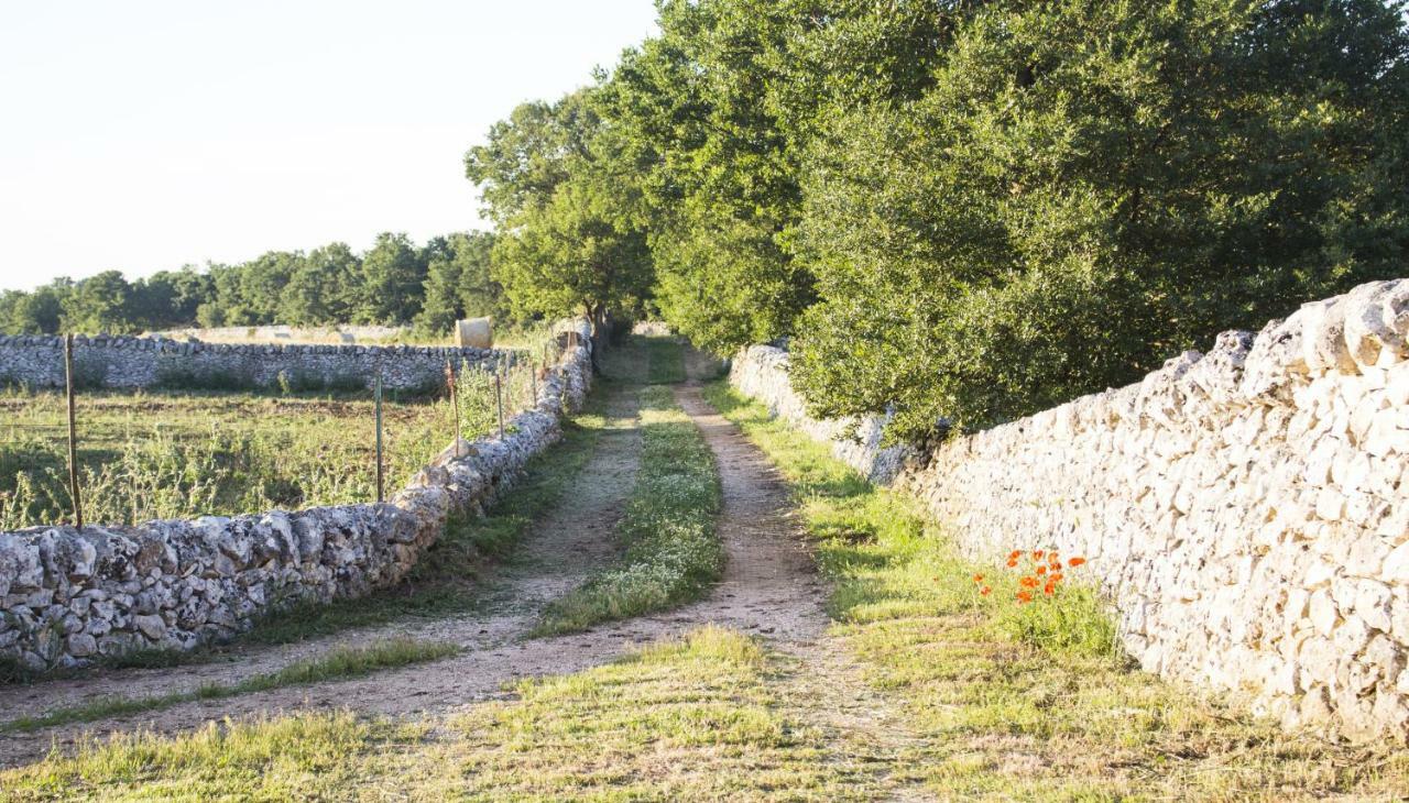 Trulli Sul Vignale In Masseria Santalachicca 마르티나프란카 외부 사진