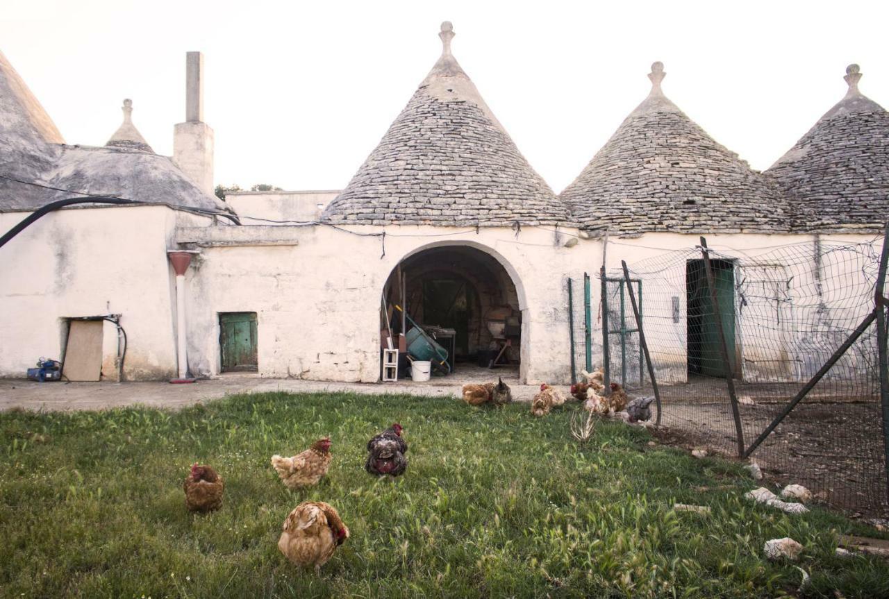 Trulli Sul Vignale In Masseria Santalachicca 마르티나프란카 외부 사진